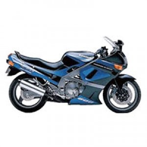 1998-2003 Kawasaki ZZR600 Verkleidung