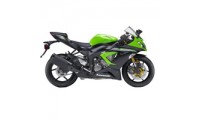 2013-2018 Kawasaki ZX6R Verkleidung