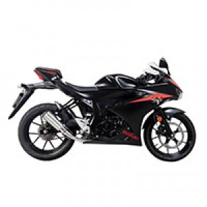 2017-2025 Suzuki GSXR 125 Verkleidung