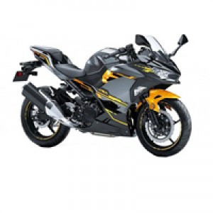 Kawasaki Ninja EX400 Verkleidung