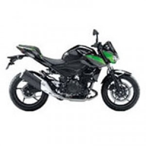 Kawasaki Z400 Verkleidung