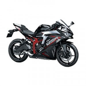 Kawasaki ZX25R Verkleidung