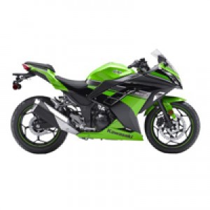 Kawasaki ZX300R Verkleidung