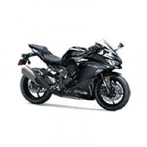 Kawasaki ZX4R Verkleidung