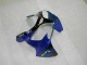 Blau 00-02 Kawasaki ZX6R Motorrad Verkleidung Blau 00-02 Kawasaki ZX6R Motorrad Verkleidung