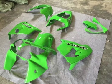 Grün 02-03 Kawasaki ZX9R Motorrad Verkleidung
