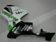 Grün 05-06 Honda CBR600RR Motorrad Verkleidung Grün 05-06 Honda CBR600RR Motorrad Verkleidung