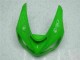 Grün 05-06 Kawasaki ZX6R Motorrad Vollverkleidung & Plastik