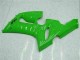 Grün 05-06 Kawasaki ZX6R Motorrad Vollverkleidung & Plastik