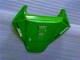 Grün 06-07 Honda CBR1000RR Motorrad Verkleidung Grün 06-07 Honda CBR1000RR Motorrad Verkleidung