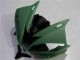 Grün 06-07 Yamaha YZF R6 Motorrad Verkleidung Grün 06-07 Yamaha YZF R6 Motorrad Verkleidung