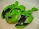 Grün Schwarzer Dunlop 07-08 Kawasaki ZX6R Motorrad Verkleidung Grün Schwarzer Dunlop 07-08 Kawasaki ZX6R Motorrad Verkleidung