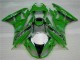 Grün Schwarzer LeoVince 09-12 Kawasaki ZX6R Motorrad Verkleidung Grün Schwarzer LeoVince 09-12 Kawasaki ZX6R Motorrad Verkleidung