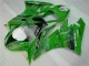 Grün Schwarzer LeoVince 09-12 Kawasaki ZX6R Motorrad Verkleidung Grün Schwarzer LeoVince 09-12 Kawasaki ZX6R Motorrad Verkleidung