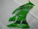 Grün Schwarzer LeoVince 09-12 Kawasaki ZX6R Motorrad Verkleidung Grün Schwarzer LeoVince 09-12 Kawasaki ZX6R Motorrad Verkleidung