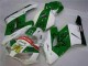Grün Weiß 04-05 Honda CBR1000RR Motorrad Verkleidung Grün Weiß 04-05 Honda CBR1000RR Motorrad Verkleidung