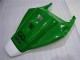 Grün Weiß 04-05 Honda CBR1000RR Motorrad Verkleidung Grün Weiß 04-05 Honda CBR1000RR Motorrad Verkleidung
