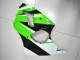 Grün Weiß Schwarz 00-02 Kawasaki ZX6R Motorrad Verkleidung Grün Weiß Schwarz 00-02 Kawasaki ZX6R Motorrad Verkleidung