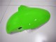 Grün Weiß Schwarz 00-02 Kawasaki ZX6R Motorrad Verkleidung Grün Weiß Schwarz 00-02 Kawasaki ZX6R Motorrad Verkleidung
