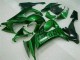 Grüne Flamme 08-10 Kawasaki ZX10R Motorrad Verkleidung Grüne Flamme 08-10 Kawasaki ZX10R Motorrad Verkleidung