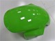 Kawasaki ZX6R Motorrad Verkleidung 2003-2004 - Grun