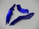 Kawasaki Ninja 300 EX300R Motorrad Verkleidung 2013-2024 - Blau Schwarz Weiss Flamme