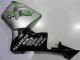 Honda CBR600RR Motorrad Verkleidung 2003-2004 - Silber Grun Glanzendes Schwarz