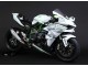 Kawasaki Ninja H2 Motorrad Verkleidung 2015-2022 - Weiss Silber Grun
