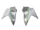 Kawasaki Ninja H2 Motorrad Verkleidung 2015-2022 - Weiss Silber Grun