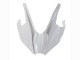 Kawasaki Ninja H2 Motorrad Verkleidung 2015-2022 - Weiss Silber Grun