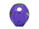 Aprilia RS125 Motorrad Verkleidung 2006-2011 - Lila Grun Rot