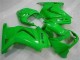 Kawasaki EX250 Motorrad Verkleidung 2008-2012 - Grun