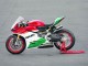 Ducati 1299 Motorrad Verkleidung 2015-2020 - Weiss Rot Grun Matt Schwarz