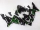Kawasaki ZX10R Motorrad Verkleidung 2004-2005 - Schwarz mit Gruner Flamme Ninja