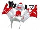 Kawasaki ZX6R Motorrad Verkleidung 2003-2004 - Weiss Rot