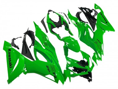 Kawasaki ZX6R Motorrad Verkleidung 2019-2022 - Grun