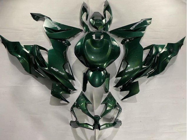 Kawasaki ZX6R Motorrad Verkleidung 2019-2022 - Dunkel Grun