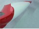Yamaha YZF 1000 R1 Motorrad Verkleidung 1998-1999 - Rot Weiss Schwarz Dunlop