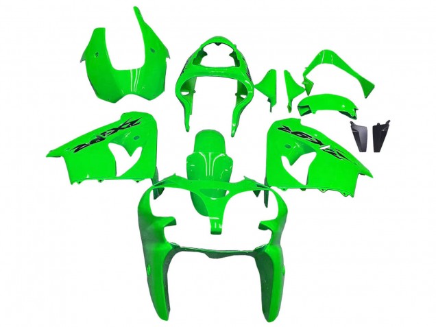 Kawasaki ZX9R Motorrad Verkleidung 2000-2001 - Grun