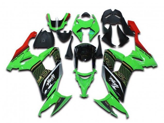 Kawasaki ZX10R Motorrad Verkleidung 2008-2010 - Grun Schwarz Rot Weiss Bienenwabe