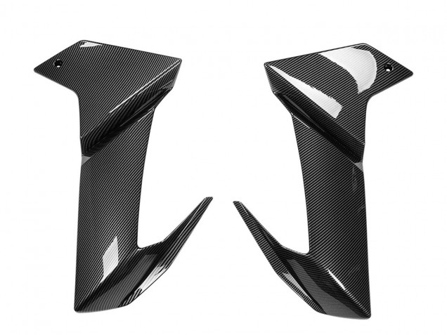 Aprilia RS660 Motorrad Verkleidung 2020-2024 - Carbonfaser