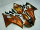 Orange 08-16 Yamaha YZF R6 Motorrad Verkleidung Orange 08-16 Yamaha YZF R6 Motorrad Verkleidung