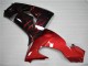Rot Flamme 06-07 Kawasaki ZX10R Motorrad Verkleidung Rot Flamme 06-07 Kawasaki ZX10R Motorrad Verkleidung