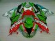 Rot Grün Motocard 09-12 Kawasaki ZX6R Motorrad Verkleidung Rot Grün Motocard 09-12 Kawasaki ZX6R Motorrad Verkleidung