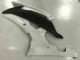 Weiß 08-16 Yamaha YZF R6 Motorrad Verkleidungen Weiß 08-16 Yamaha YZF R6 Motorrad Verkleidungen