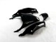 Schwarz Grün 12-21 Kawasaki ZX14R ZZR1400 Motorrad Verkleidung Schwarz Grün 12-21 Kawasaki ZX14R ZZR1400 Motorrad Verkleidung