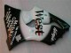 Schwarzer West Ninja 00-02 Kawasaki ZX6R Motorrad Verkleidung Schwarzer West Ninja 00-02 Kawasaki ZX6R Motorrad Verkleidung