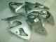 Silber 00-02 Kawasaki ZX6R Motorrad Verkleidung