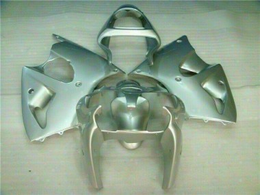 Silber 00-02 Kawasaki ZX6R Motorrad Verkleidung